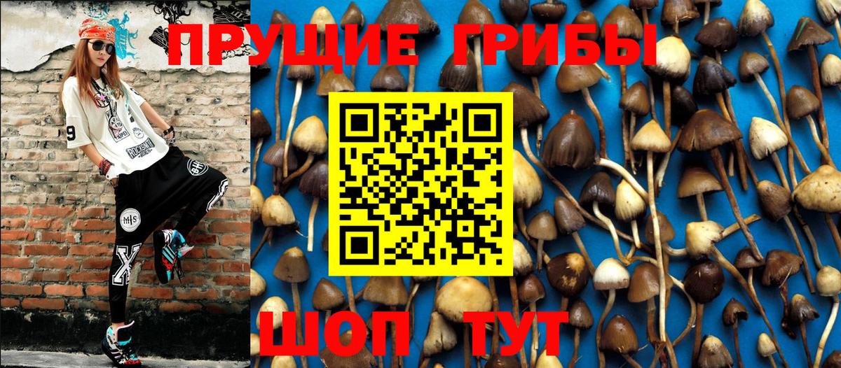 Жуковский  Галлюциногенные грибы Psilocybe  Галлюциногенные грибы мухоморы  Вход с VPN 