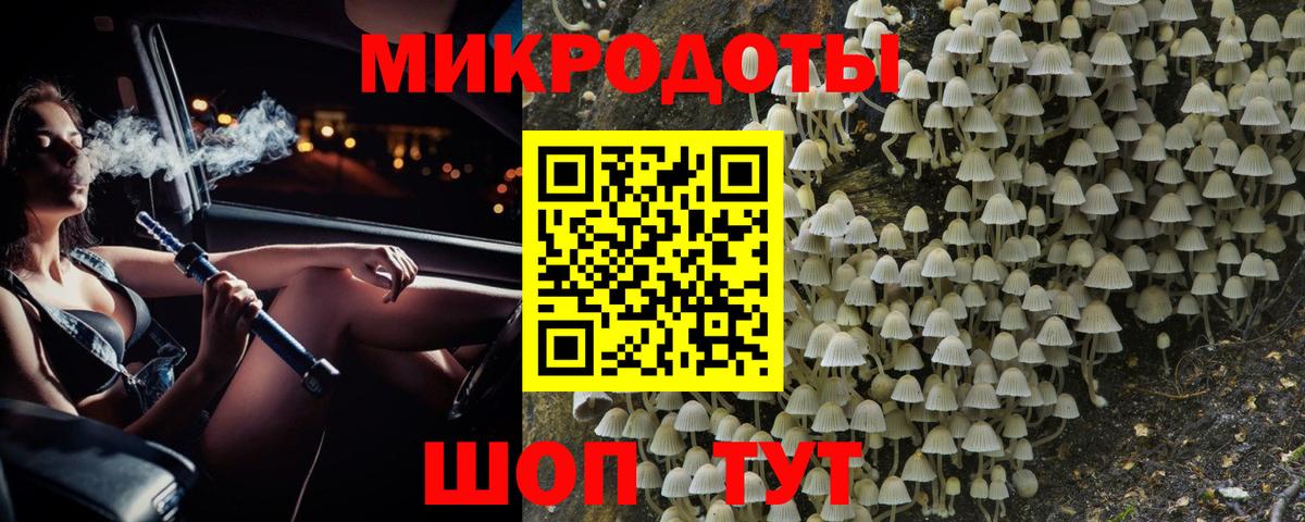 Псилоцибиновые грибы Cubensis Жуковский